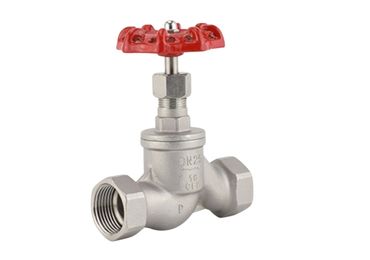 globe valve-instrumentation valve