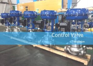 BCST-valve-Two way control valve