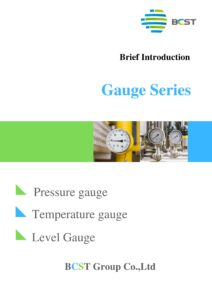 BCST pressure Gauge Serial