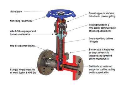 Figure 3 Components Of A Bellow Seal Valve