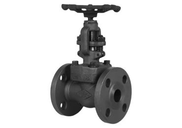 Forged steel bellow seal valve