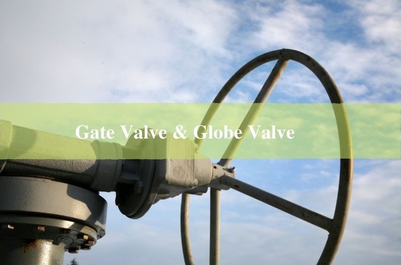 Gate Valve & Globe Valve