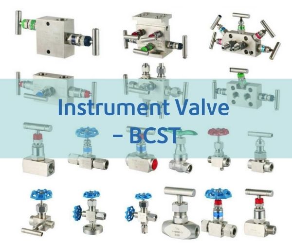 BCST-instrumentation valve-2