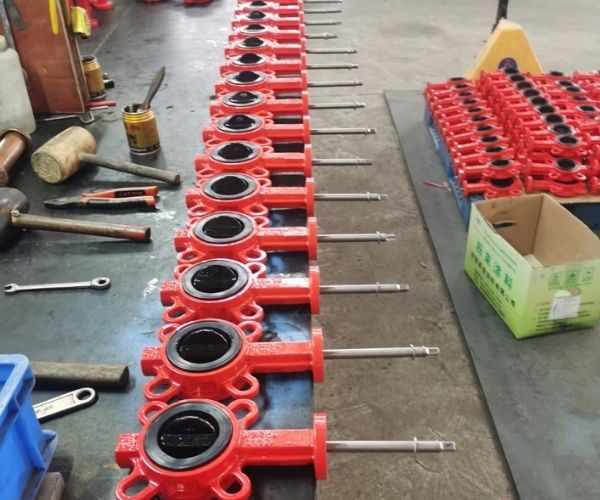 Ductile iron valve assembly
