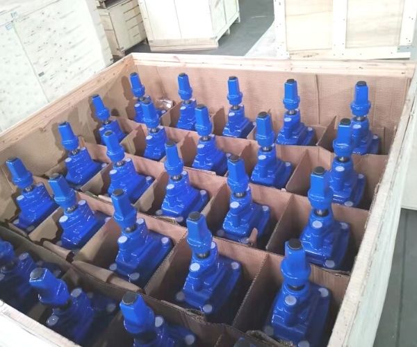 Ductile iron valve packing