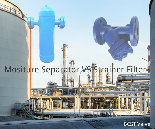 Mositure separator and strainer filter