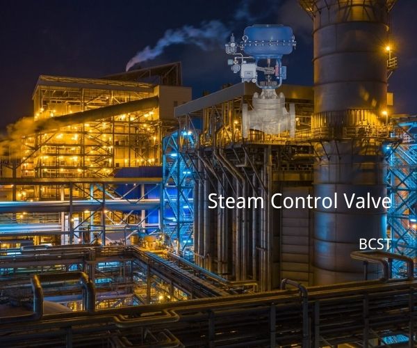 Steam control valve