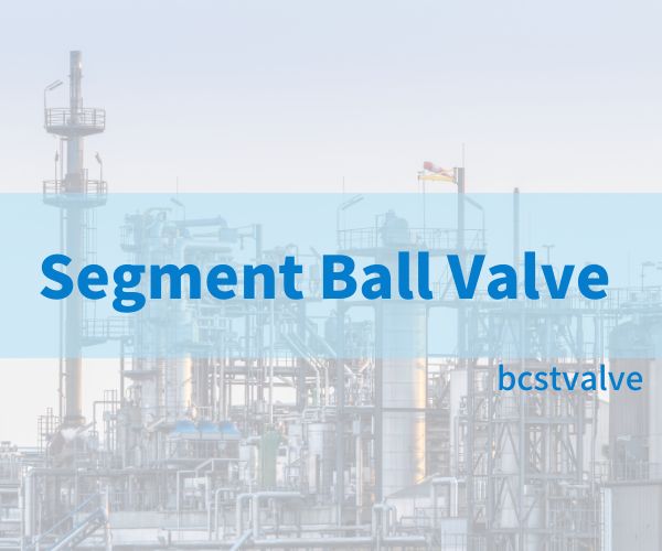 Segment Ball Valve from BCST