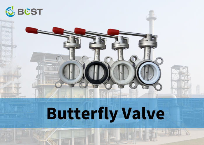 butterfly valve