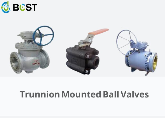 Trunnion Mounted Ball Valves
