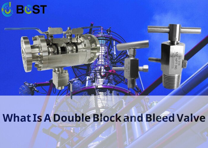Double Block and Bleed Valve