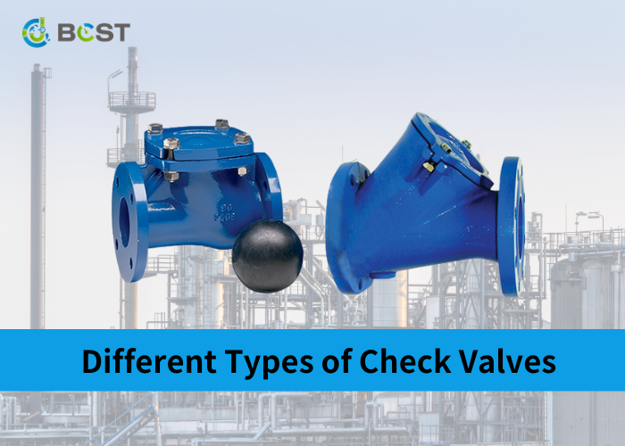 Different Types of Check Valves