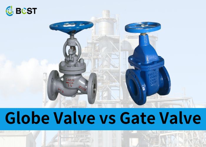 a globe valve and a gate valve