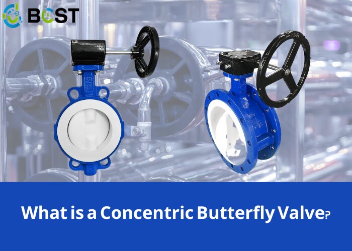 What Is A Concentric Butterfly Valve?