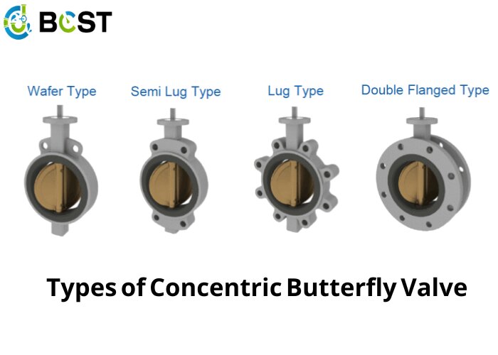 Types of Concentric Butterfly Valve