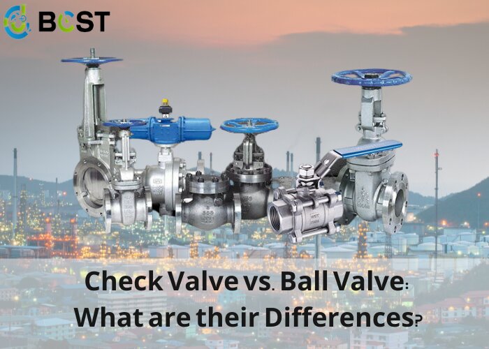 What are the Differences between check and ball valve