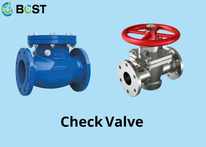 check valve