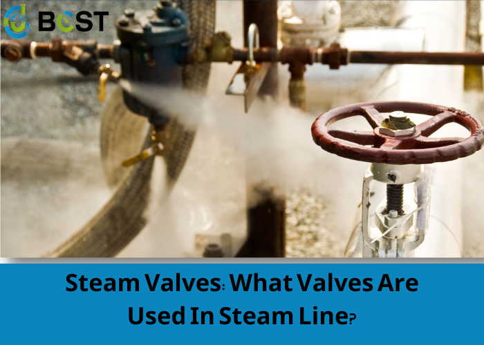 steam valves