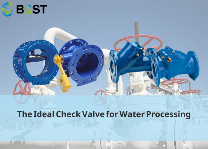 The Ideal Check Valve for Water Processing