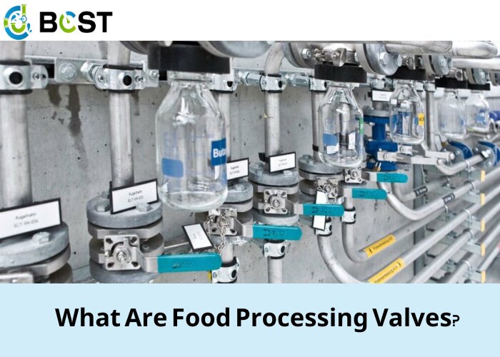 What Are Food Processing Valves