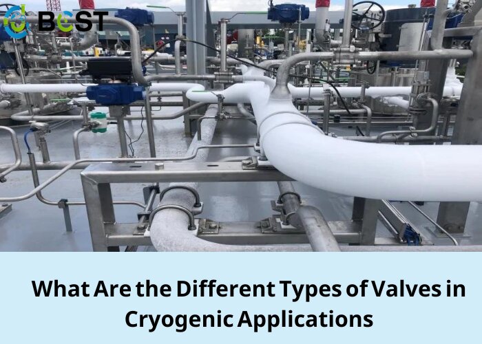 What Are the Different Types of Valves in Cryogenic Applications
