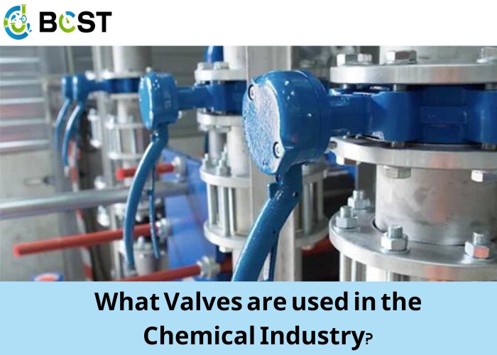 What Valves are used in the Chemical Industry