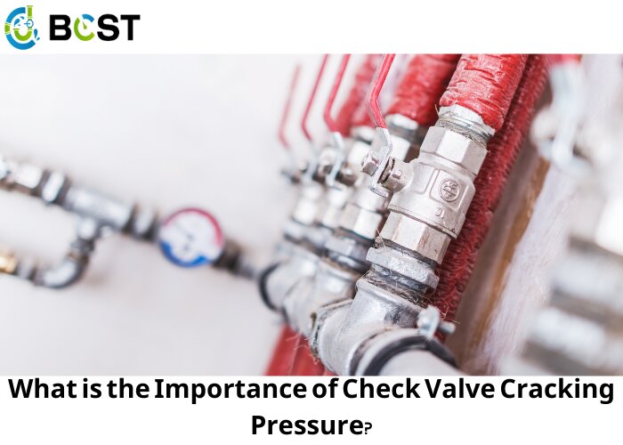 What is the Importance of Check Valve