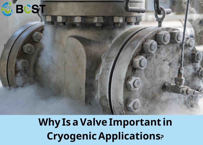 Why Is a Valve Important in Cryogenic Applications