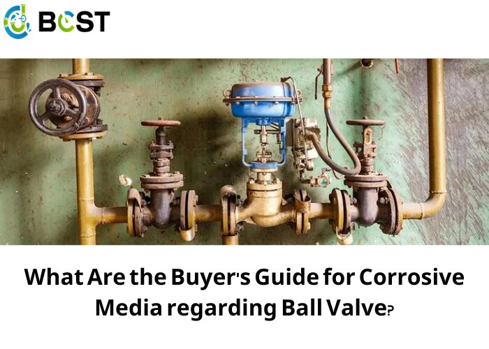 What Are the Buyer's Guide for Corrosive Media regarding Ball Valve