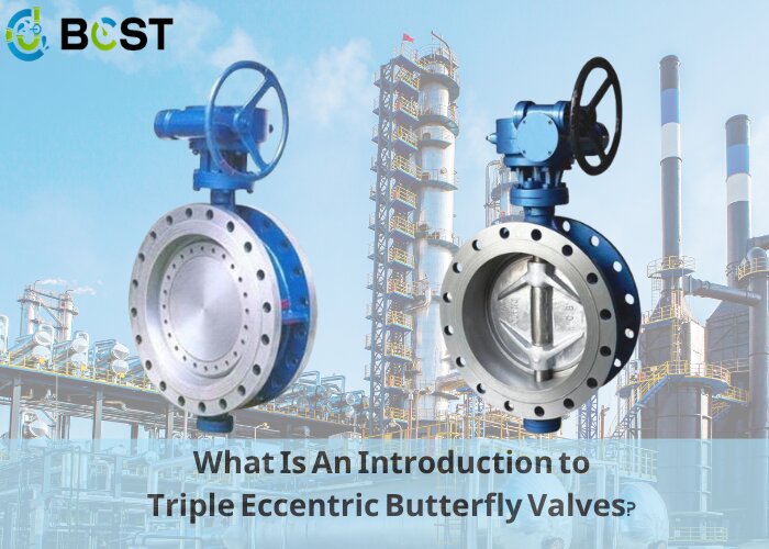 What Is An Introduction to Triple Eccentric Butterfly Valves?