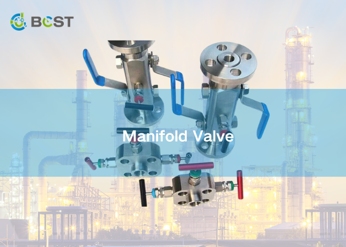 manifold valve