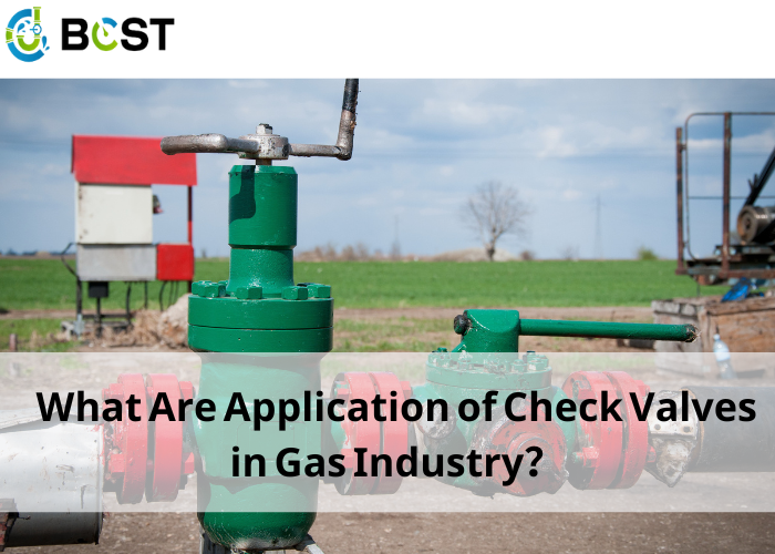 What Are Application of Check Valves in Gas Industry？
