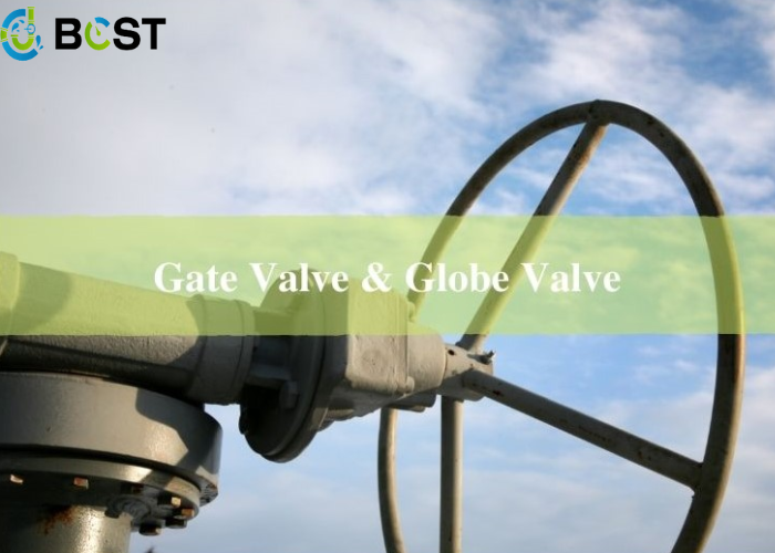 What Are the Difference between the Globe Valve and the Gate Valve