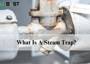 Steam Traps